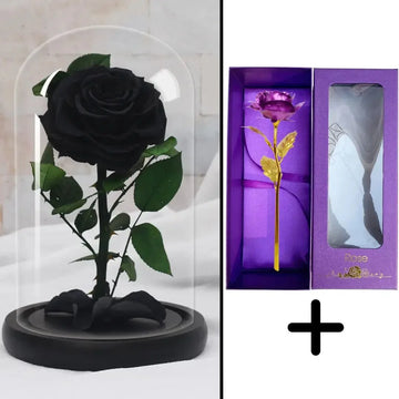 Bundle Pack Rose Eternelle Noir + Coffret 24k (Choix) - Rose Eternelle La Boutique