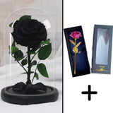 Bundle Pack Rose Eternelle Noir + Coffret 24k (Choix)