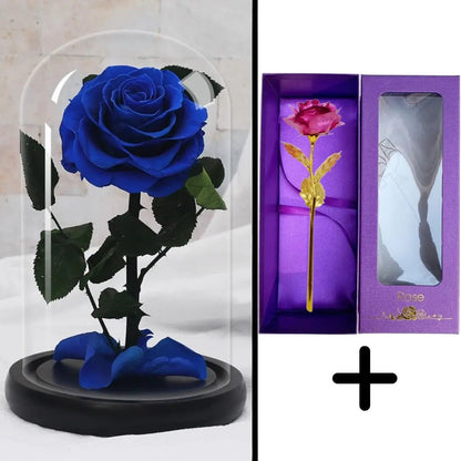Eternal Rose Blue Bundle-Paket + 24k Geschenkbox (Auswahl)