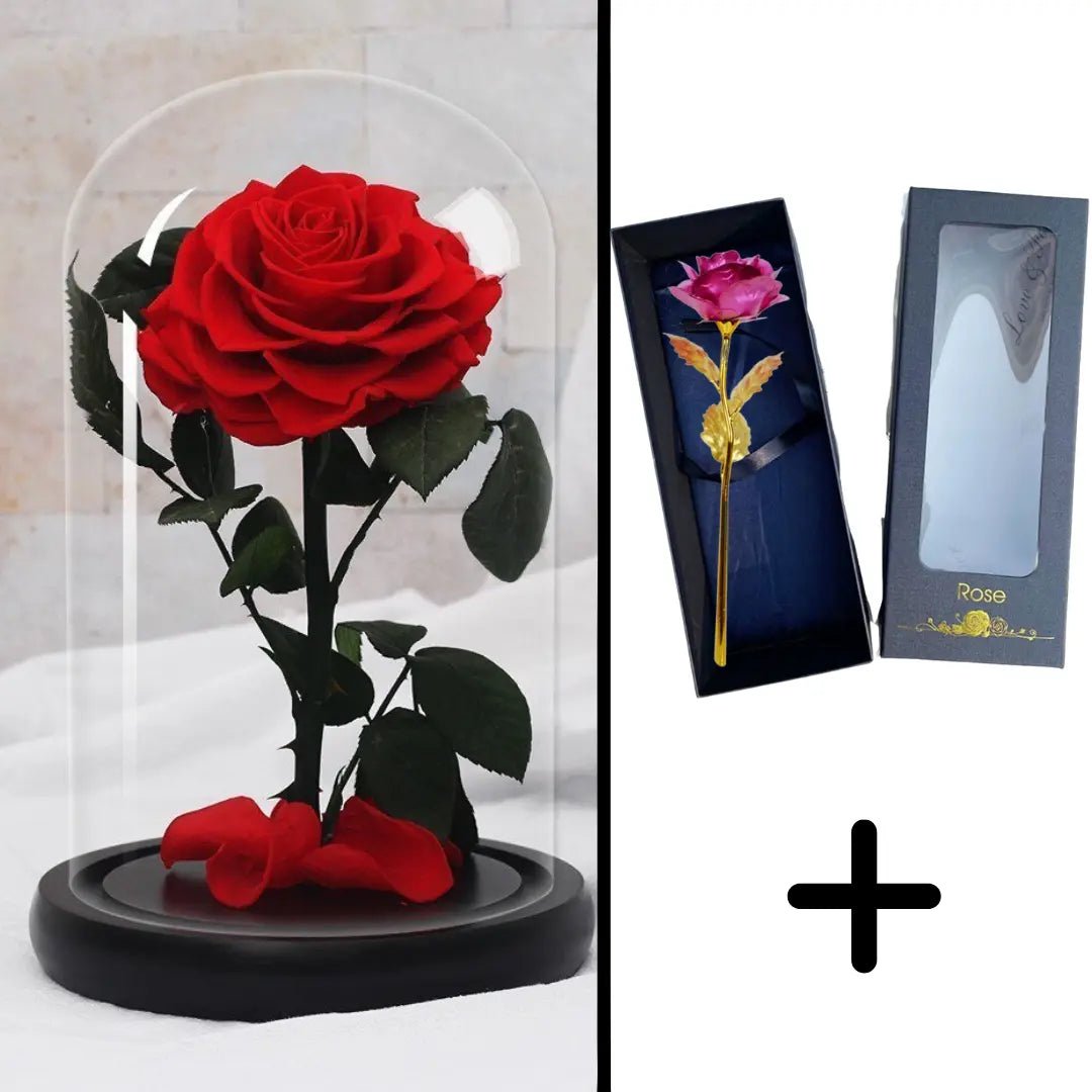 Eternal Red Rose Bundle Pack + 24k Gift Box (Choice)