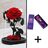 Bundle Pack Rose Eternelle Rouge + Coffret 24k (Choix)