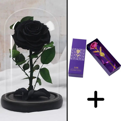 Eternal Red Rose Bundle Pack + 24k Gift Box (Choice)