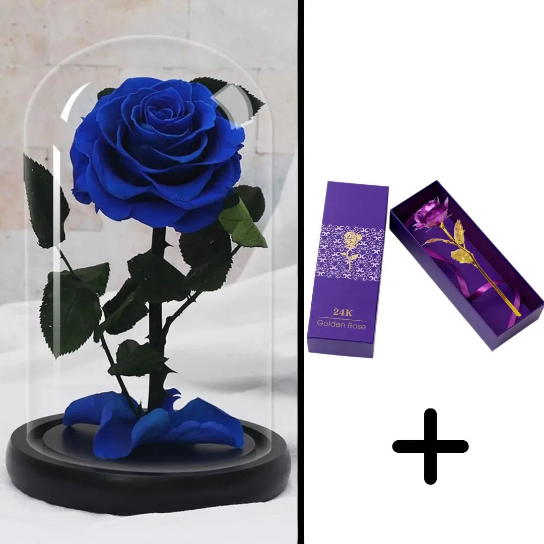 Eternal Red Rose Bundle Pack + 24k Gift Box (Choice)