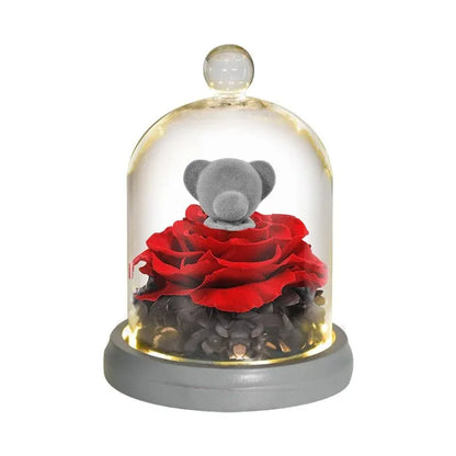 Ours et Lapin avec Rose rouge sous cloche - Rose Eternelle La Boutique