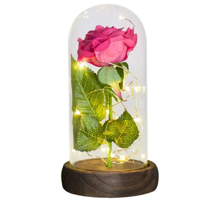 Rose Eternelle Lumineuse & Sous Cloche ( Choix de style ) - Rose Eternelle La Boutique