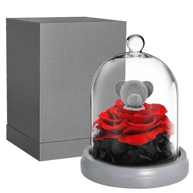 Ours et Lapin avec Rose rouge sous cloche - Rose Eternelle La Boutique