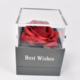 Rose Eternelle Coffret (Choix collier)