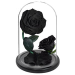 Prestigieux Duo de Rose Eternelle ( Choix de couleur )