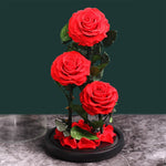Rose Eternelle Premium (Style au Choix)
