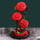 Rose Eternelle Premium (Style au Choix)