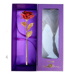 Coffret Rose Éternelle Or 24K – Cadeau de Luxe Inoubliable