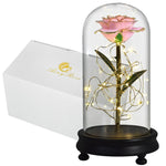 Eblouissante Rose Eternelle Doré  "Ainy Rose" avec Coffret