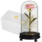 Eblouissante Rose Eternelle Doré  "Ainy Rose" avec Coffret