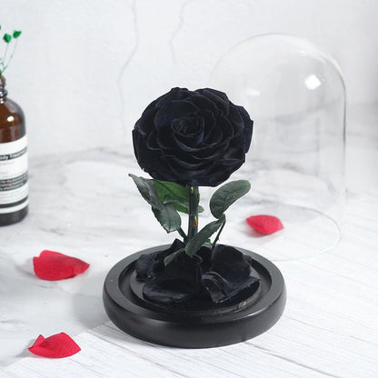 Genuine Prestige Eternal Rose (Farbauswahl)