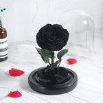 Véritable Rose Éternelle de Prestige ( choix de couleur )