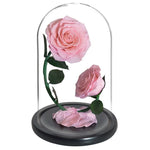 Prestigieux Duo de Rose Eternelle ( Choix de couleur )