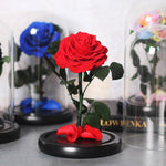 Rose Eternelle Premium (Style au Choix)