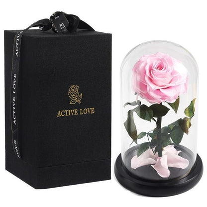 Genuine Prestige Eternal Rose (Farbauswahl)