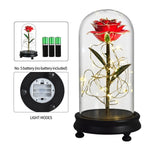 Eblouissante Rose Eternelle Doré  "Ainy Rose" avec Coffret
