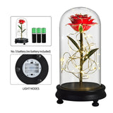 Eblouissante Rose Eternelle Doré  "Ainy Rose" avec Coffret