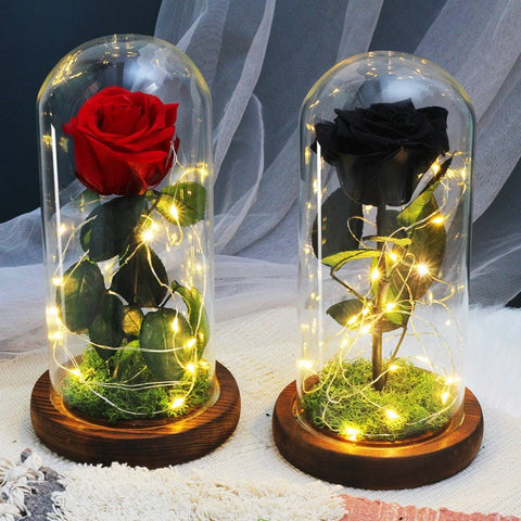 Rose Eternelle Sous Cloche Lumineuse (Choix de Couleur)