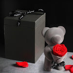 Rose Eternelle Ours (Choix de Couleurs)