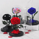 Prestigieuse Rose Multicolore avec Boite