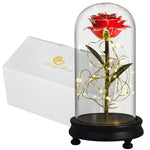 Eblouissante Rose Eternelle Doré  "Ainy Rose" avec Coffret