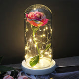 Rose Eternelle Sous Cloche & LED  (Choix De Couleurs)
