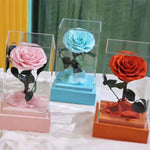 Rose éternelle Collection de Luxe ( Choix de Style )
