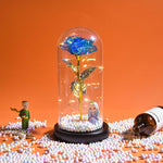 Rose Eternelle Lumineuse & Sous Cloche ( Choix de style  )