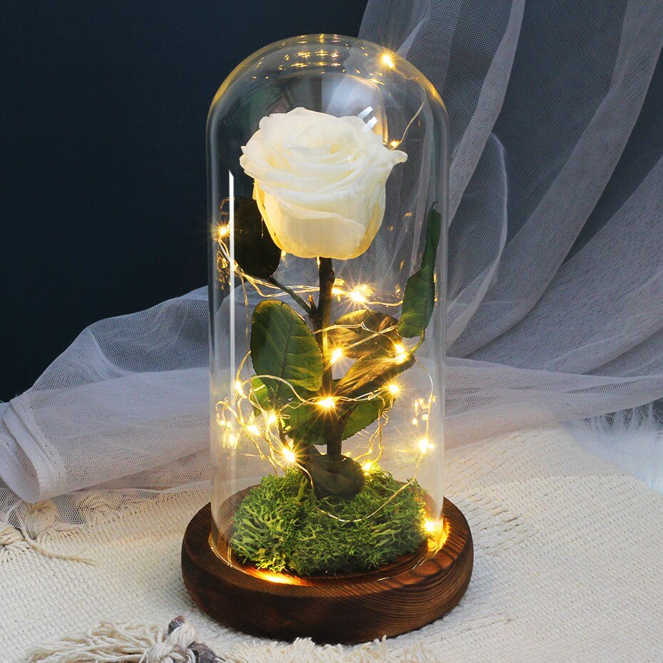 Rose Eternelle Sous Cloche Lumineuse (Choix de Couleur)