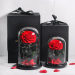 Prestigieuse Rose Multicolore avec Boite