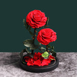 Roses éternelles Sous Cloche (Prenium)