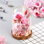 Rose Eternelle & Composition Florale ( Choix )