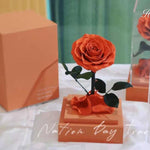 Rose éternelle Collection de Luxe ( Choix de Style )