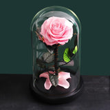 Roses éternelles Sous Cloche (Prenium)
