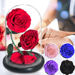 Prestigieux Duo de Rose Eternelle ( Choix de couleur )