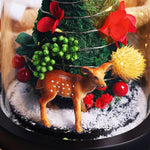 Sapin de Noel Sous Cloche