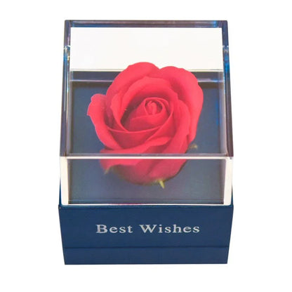 Oursons en rose avec Roses éternelles Collection 2023 - Rose Eternelle La Boutique