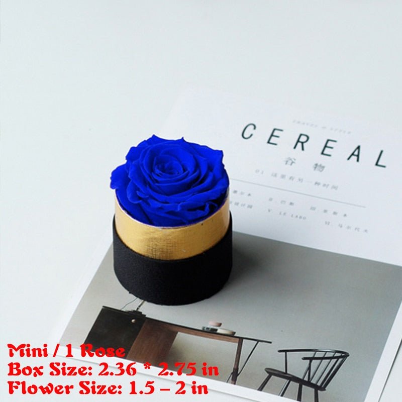 Elegante kleine Schachtel mit ewiger Rose