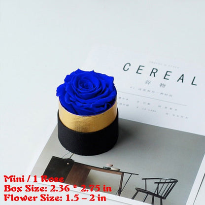 Elegante kleine Schachtel mit ewiger Rose