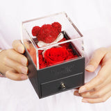 Roses Eternelles Ourson Avec sa Boite