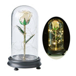 Eblouissante Rose Eternelle Doré  "Ainy Rose" avec Coffret