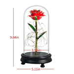 Eblouissante Rose Eternelle Doré  "Ainy Rose" avec Coffret