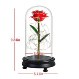 Eblouissante Rose Eternelle Doré  "Ainy Rose" avec Coffret