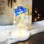 Rose Eternelle Crystal Sous Cloche (Choix de Couleurs)