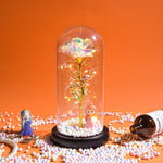 Rose Eternelle Lumineuse & Sous Cloche ( Choix de style  )