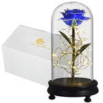 Eblouissante Rose Eternelle Doré  "Ainy Rose" avec Coffret