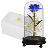 Eblouissante Rose Eternelle Doré  "Ainy Rose" avec Coffret